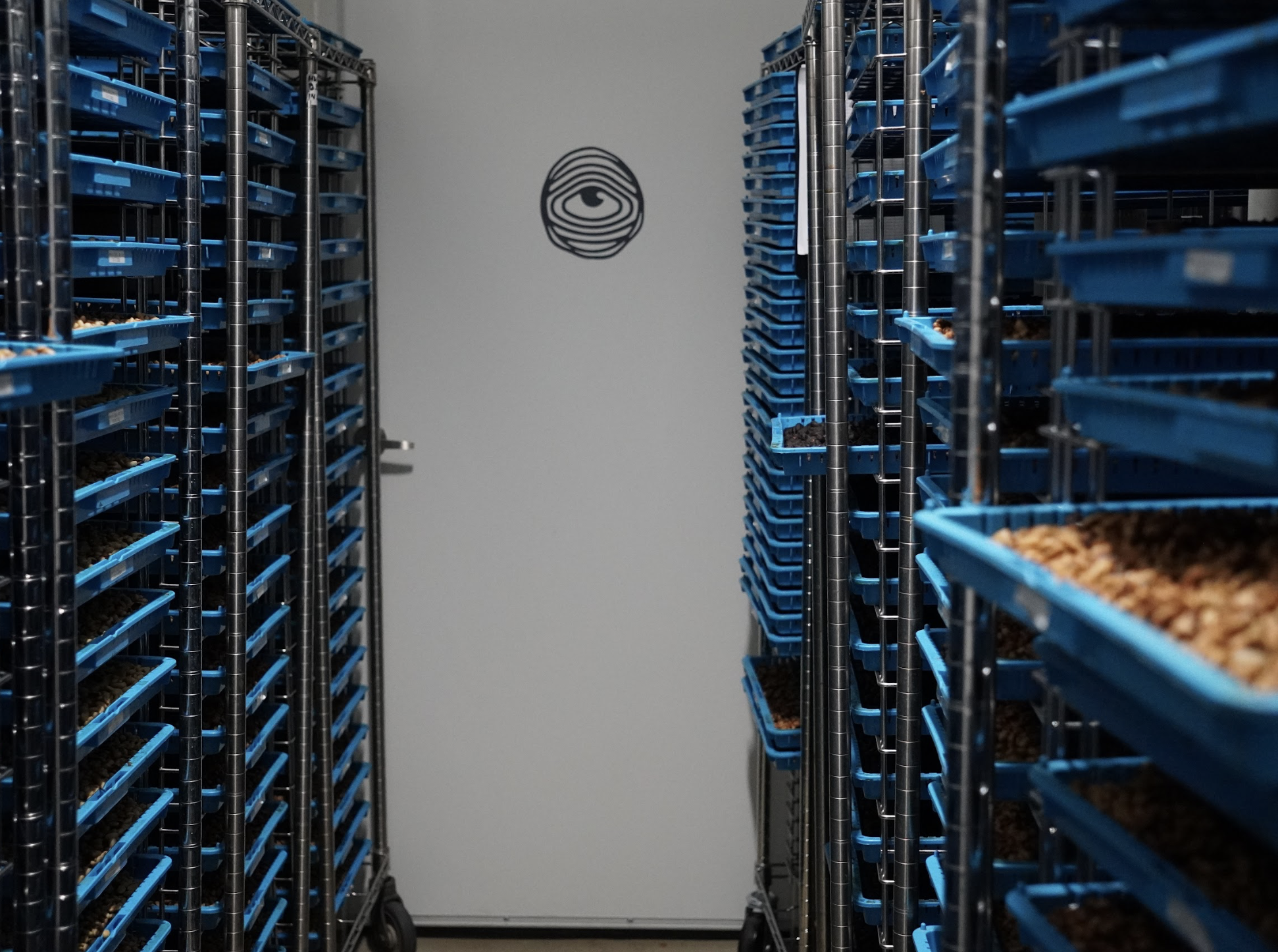 Screenshot 2025-12-08 at 1.30.00 pm